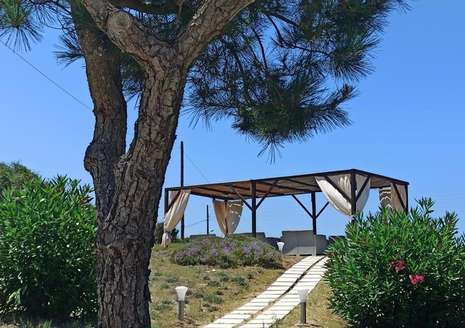 Elli Beach Apartments And Studios Almiros Beach Exteriör bild